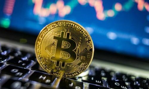 比特币最多,谁拥有最多的比特币？(图6)