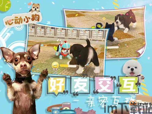 心动小狗送账号,心动小狗送账号活动来袭,快来领取你的专属宠物!(图1) 心动小狗送账号,心动小狗送账号活动来袭,快来领取你的专属宠物!(图1)