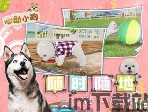 心动小狗送账号,心动小狗送账号活动来袭,快来领取你的专属宠物!(图4) 心动小狗送账号,心动小狗送账号活动来袭,快来领取你的专属宠物!(图4)