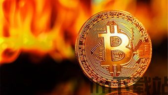 比特币娱乐,数字货币的多元化应用(图3) 比特币娱乐,数字货币的多元化应用(图3)