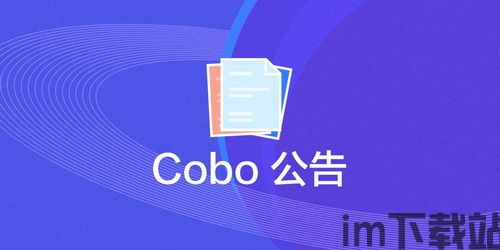 cobo钱包 usdt,数字货币投资者的理想选择(图3)