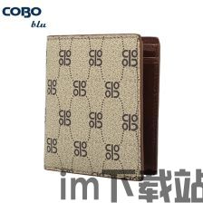 cobo钱包 usdt,数字货币投资者的理想选择(图4)