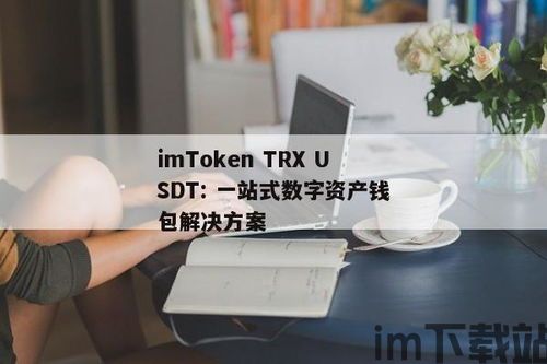 imtoken里的trx钱包里的usdt,深入解析Imtoken中的TRX钱包与USDT的融合应用(图3)