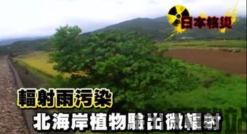 花雨旋律安卓版(图1)