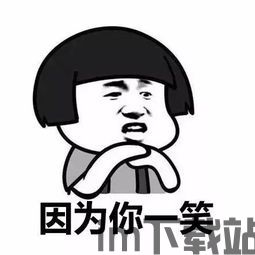 当贝市场安卓版(图1) 当贝市场安卓版(图1)