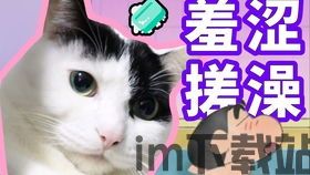 当贝市场安卓版(图5) 当贝市场安卓版(图5)