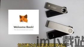 小狐狸钱包导入usdt,小狐狸钱包导入USDT的详细教程(图3) 小狐狸钱包导入usdt,小狐狸钱包导入USDT的详细教程(图3)