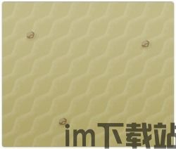 晶灿钻石/明亮珍珠(图3)