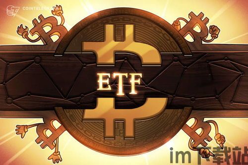 比特币etf,增长与机遇并存(图3)