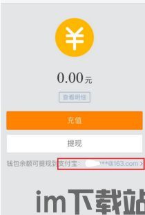 交易USDT显示钱包余额不足,交易USDT时显示钱包余额不足的原因及解决方法(图9)