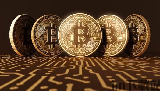 比特币是干什么的,什么是比特币?(图11) 比特币是干什么的,什么是比特币?(图11)