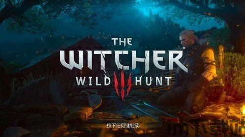 巫师3更新4.03(图2) 巫师3更新4.03(图2)