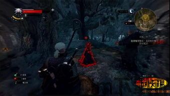 巫师3更新4.03(图4) 巫师3更新4.03(图4)