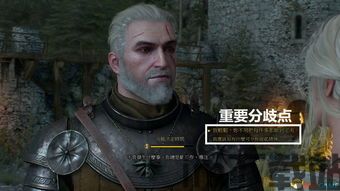 巫师3更新4.03(图5) 巫师3更新4.03(图5)