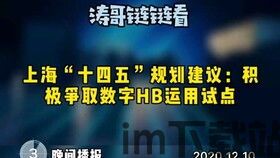 23只正宗区块链,什么是区块链?(图4) 23只正宗区块链,什么是区块链?(图4)