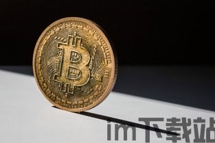纽约比特币,涨跌起伏中的机遇与挑战(图5) 纽约比特币,涨跌起伏中的机遇与挑战(图5)