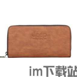 美国usdt用什么钱包,安全、便捷、多样化的选择(图13)