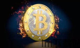 比特币最高多少钱,比特币历史最高价格解析(图9) 比特币最高多少钱,比特币历史最高价格解析(图9)