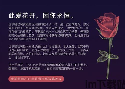 360玫瑰 区块链,创新游戏体验的融合(图1) 360玫瑰 区块链,创新游戏体验的融合(图1)