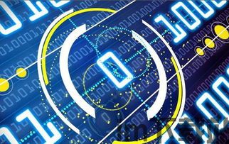 58区块链,探索去中心化世界的无限可能(图5)