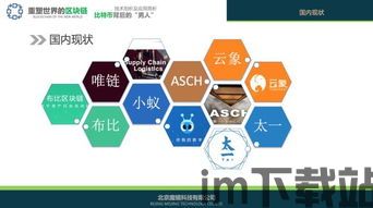 2020底层区块链,2020年底层区块链技术发展概览(图8) 2020底层区块链,2020年底层区块链技术发展概览(图8)