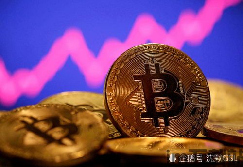 新比特币,技术革新与市场前景展望(图1)