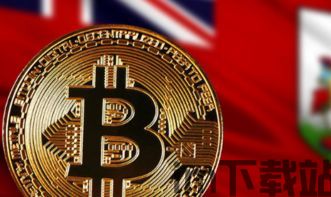 新比特币,技术革新与市场前景展望(图2)