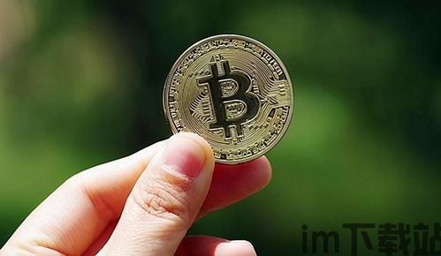政府比特币,机遇与挑战并存(图12) 政府比特币,机遇与挑战并存(图12)