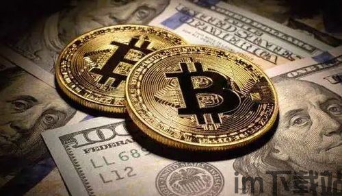 比特币排行,揭秘加密货币市场的王者之位(图8)