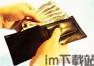 冷钱包最多能放多少usdt,USDT存储极限揭秘(图7) 冷钱包最多能放多少usdt,USDT存储极限揭秘(图7)