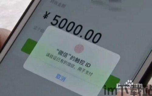 usdt转到tp钱包没到账,USDT转账至TP钱包未到账,原因及解决方法详解(图20) usdt转到tp钱包没到账,USDT转账至TP钱包未到账,原因及解决方法详解(图20)
