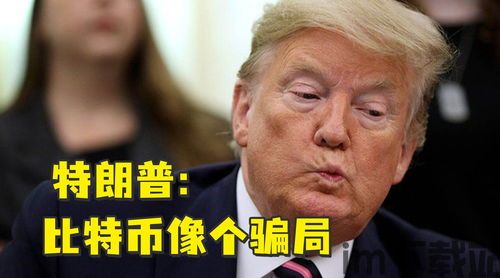 特朗普称比特币是一个骗局(图1) 特朗普称比特币是一个骗局(图1)