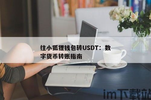 小狐狸钱包提usdt到币安,小狐狸钱包提现USDT至币安的详细教程(图1)