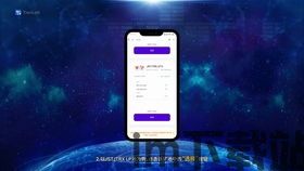 tp钱包波场trx转usdt,轻松实现数字资产转换(图9)