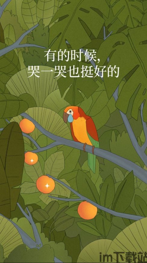 孤独的鸟这款游戏最后的鸟怎么样了,最后的鸟儿命运如何?(图4) 孤独的鸟这款游戏最后的鸟怎么样了,最后的鸟儿命运如何?(图4)