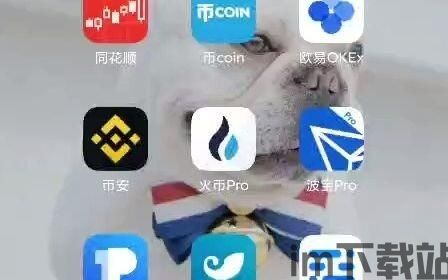 token钱包可以充usdt吗,便捷数字货币管理新选择(图14) token钱包可以充usdt吗,便捷数字货币管理新选择(图14)