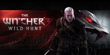 巫师3下辈子还当猎魔人吗,下辈子，猎魔人的宿命是否依旧？(图2)