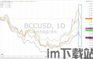 比特币现金今天价格,市场动态与趋势展望(图3)