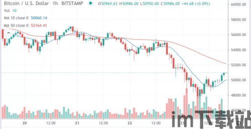 比特币税收,全球视角下的政策与实践(图6)