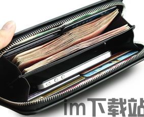 usdt常见钱包,USDT常见钱包概述(图5)