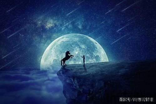 梦境链接 买量素材 特点,梦境链接买量素材特点解析(图5) 梦境链接 买量素材 特点,梦境链接买量素材特点解析(图5)