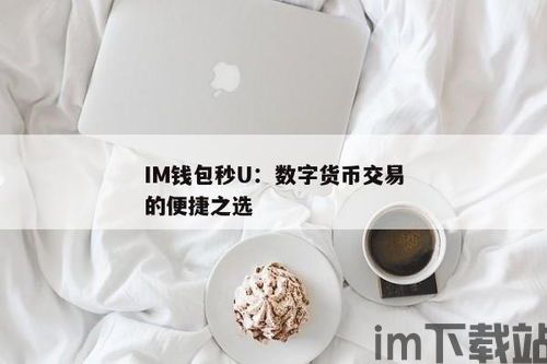 im秒钱包 货币 刀u usdt,轻松管理USDT，实现货币刀u的便捷交易(图1)