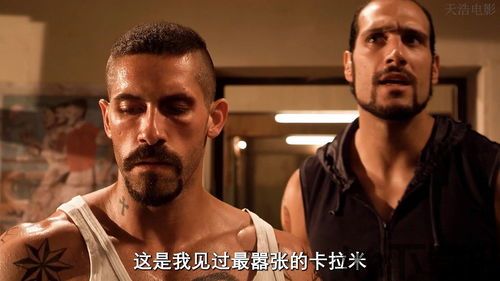 格斗士之王 电影,电影简介(图1)