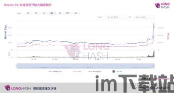 比特币bsv和比特币的关系,比特币交易平台官网(图3) 比特币bsv和比特币的关系,比特币交易平台官网(图3)