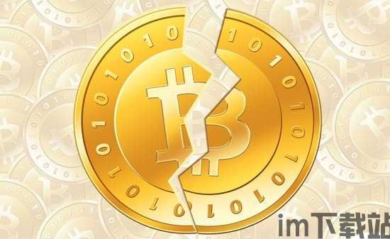 比特币币迷,激情与理性的交织(图1) 比特币币迷,激情与理性的交织(图1)