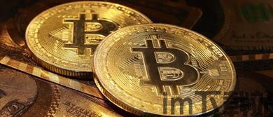 比特币币迷,激情与理性的交织(图6) 比特币币迷,激情与理性的交织(图6)