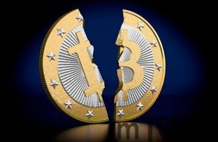 比特币币迷,激情与理性的交织(图8) 比特币币迷,激情与理性的交织(图8)