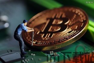 比特币嘉禾,加密货币市场的璀璨明珠(图2)