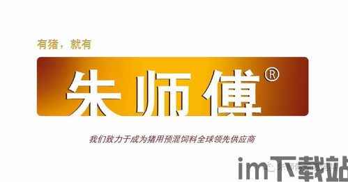 比特币嘉禾,加密货币市场的璀璨明珠(图5)