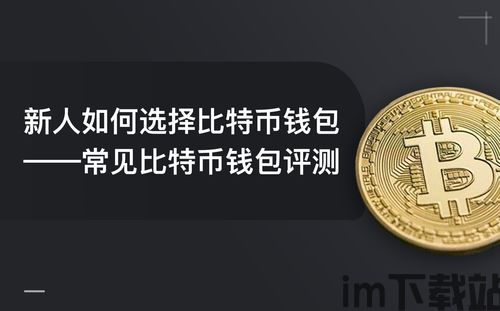 电报能当比特币钱包使吗,电报能当比特币钱包使用吗?揭秘电报与比特币钱包的关联(图2) 电报能当比特币钱包使吗,电报能当比特币钱包使用吗?揭秘电报与比特币钱包的关联(图2)